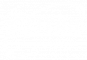 Copy of TitanHomesLL-logo-01 white