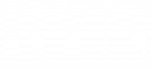 RYN logos_WHITE