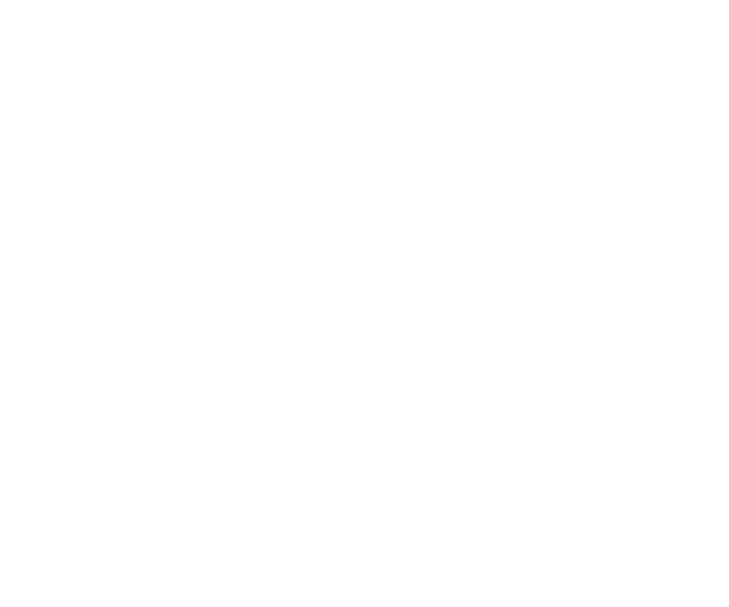 Brickwise RE Logo2-02
